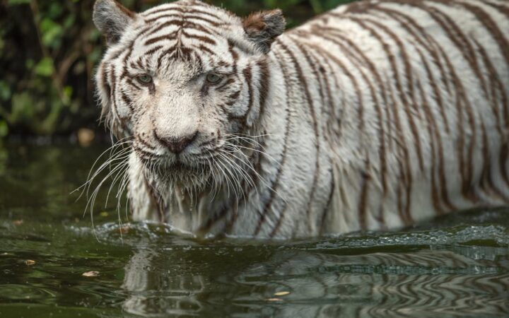 10 New UNESCO World Heritage Sites to Add to Your Bucket List in 2026