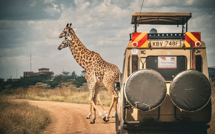 7 Mistakes to Avoid When Planning a Safari Adventure