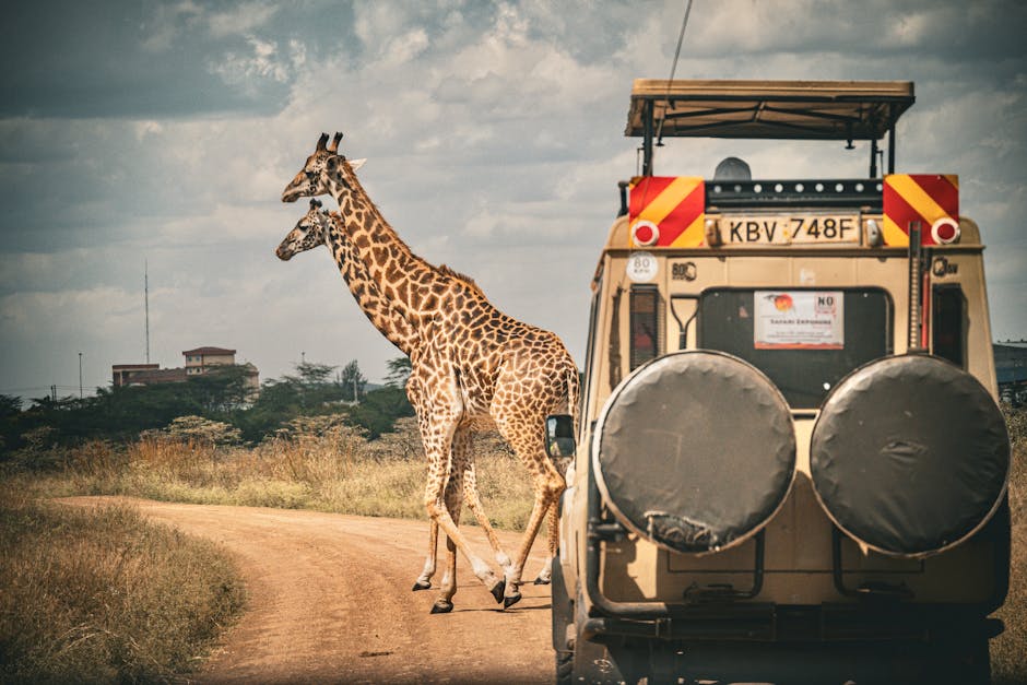 7 Mistakes to Avoid When Planning a Safari Adventure