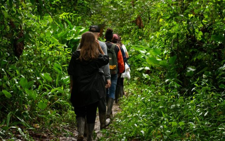 Unraveling the Mysteries of the Amazon: A 2026 Expedition Guide
