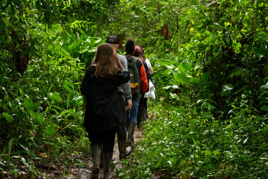 Unraveling the Mysteries of the Amazon: A 2026 Expedition Guide