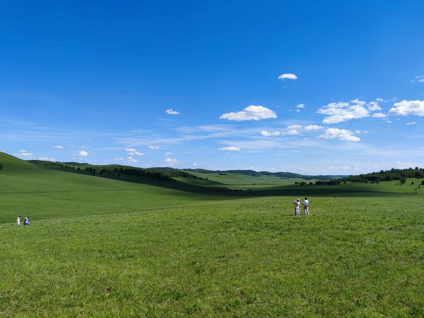 2026: The Year of Adventure in the Untamed Wilds of Mongolia
