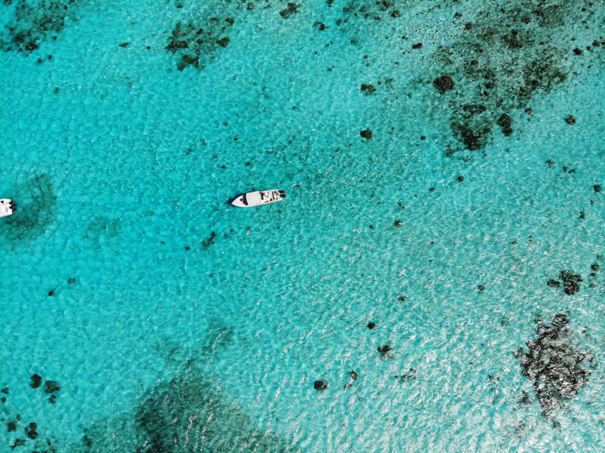 Unveiling the Underwater Wonders: A 2026 Guide to Snorkeling in the Lesser-Known Waters of Belize